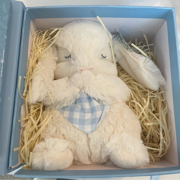 Everybunny Prays Blue Bunny Prayer Gift Set - Picture 4 of 6